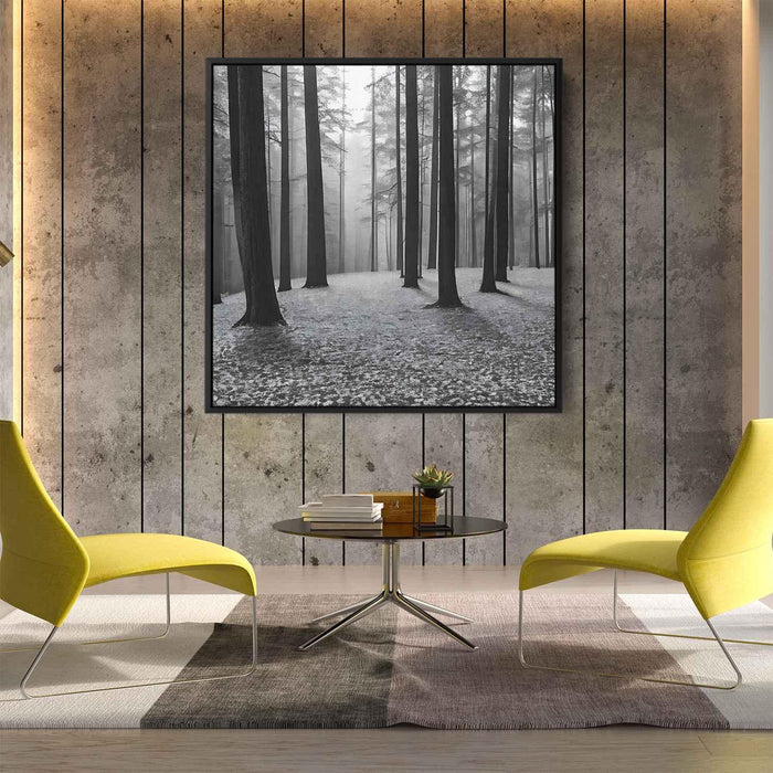 Forest Photography #034 - Kanvah