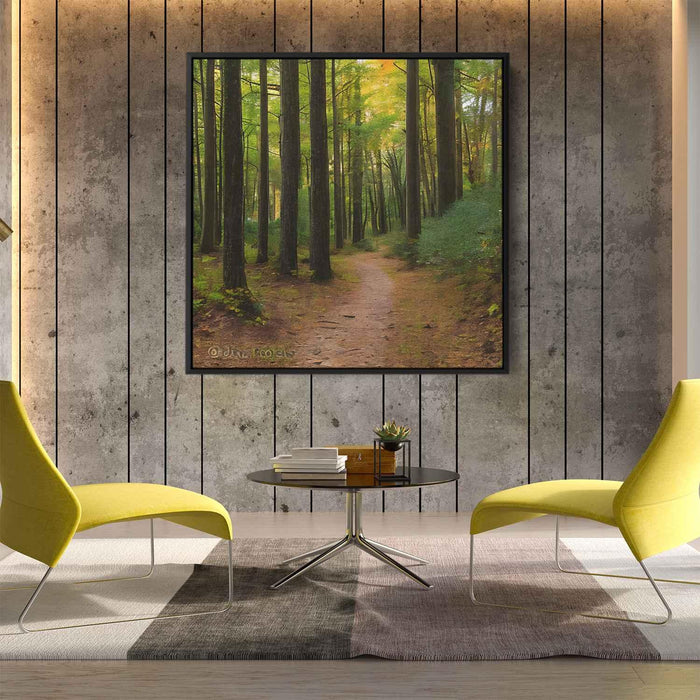 Forest Photography #036 - Kanvah