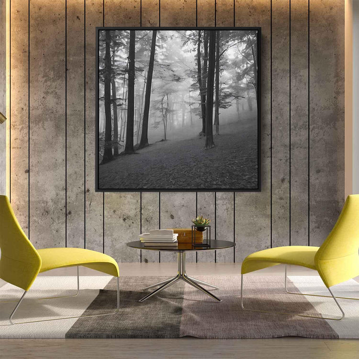 Forest Photography #040 - Kanvah