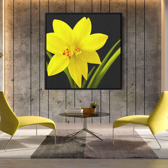 Daffodils Illustration #009 - Kanvah