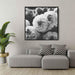 Black And White Photography Carnations #008 - Kanvah