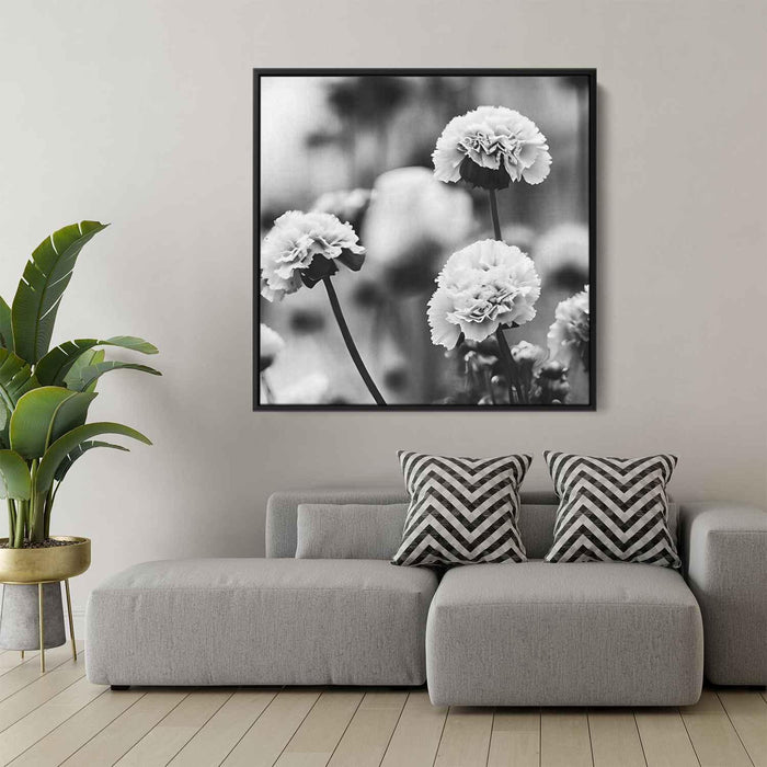 Black And White Photography Carnations #009 - Kanvah