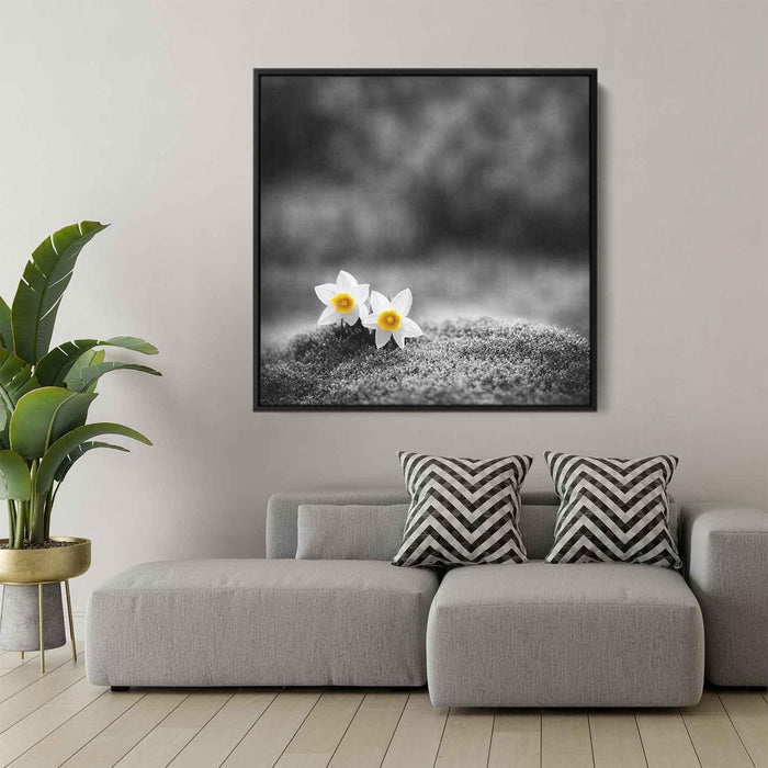 Black and White Daffodils #004 - Kanvah