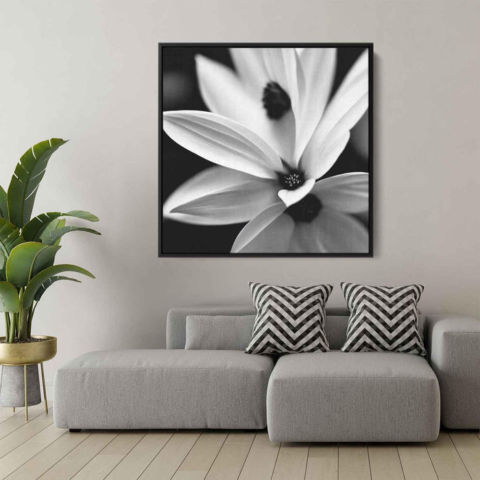 Black and White Daffodils #008 - Kanvah