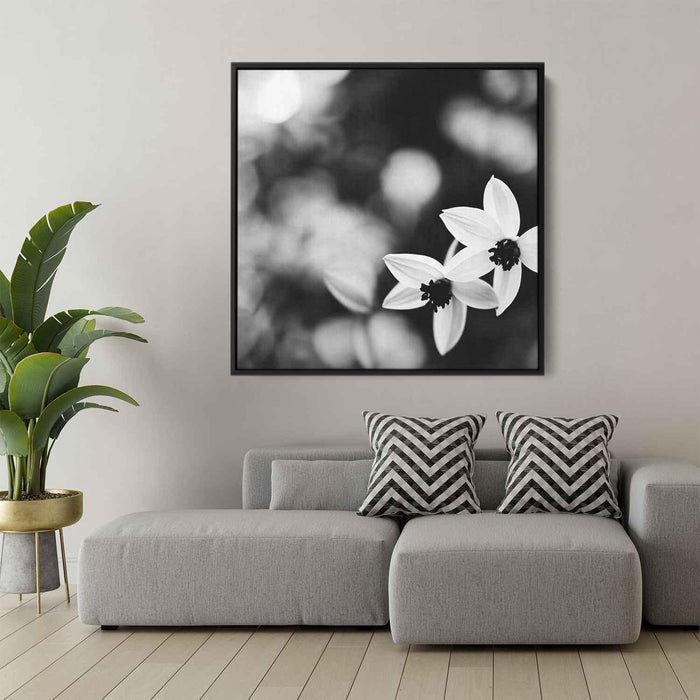 Black and White Daffodils #009 - Kanvah
