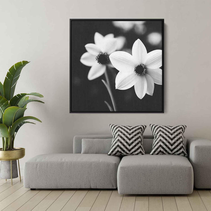 Black and White Daffodils #010 - Kanvah