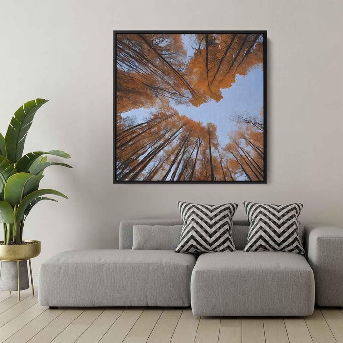 Forest Photography #002 - Kanvah