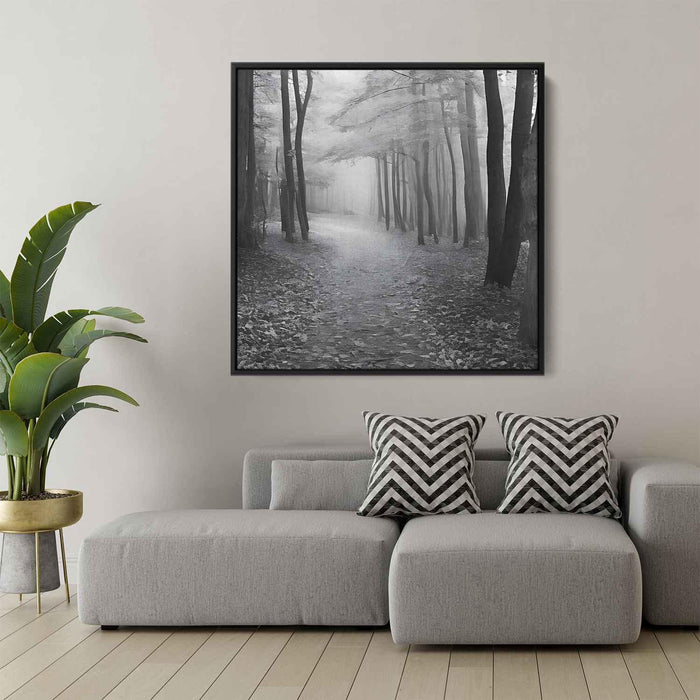 Forest Photography #006 - Kanvah