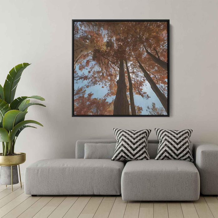 Forest Photography #008 - Kanvah