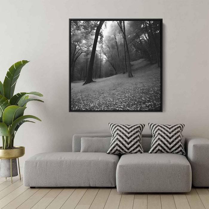 Forest Photography #012 - Kanvah