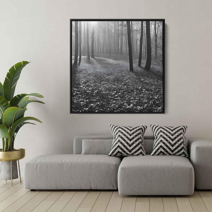 Forest Photography #018 - Kanvah