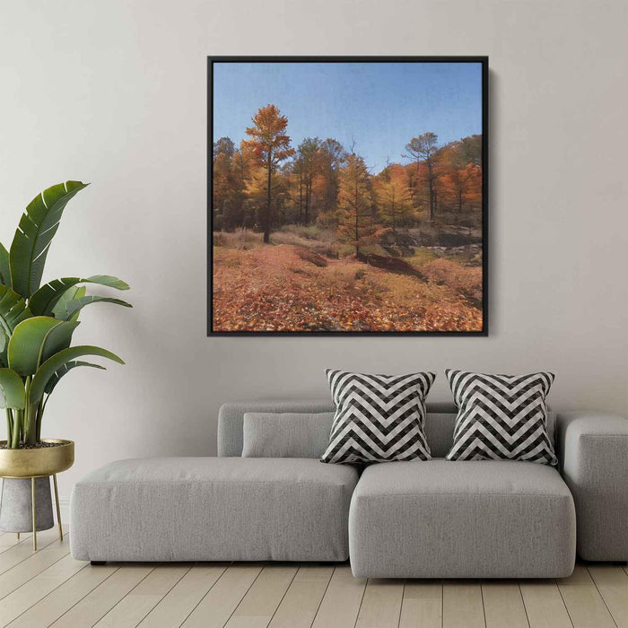 Forest Photography #020 - Kanvah