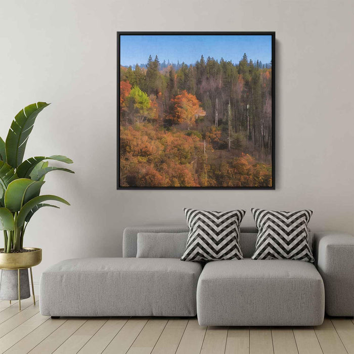 Forest Photography #030 - Kanvah