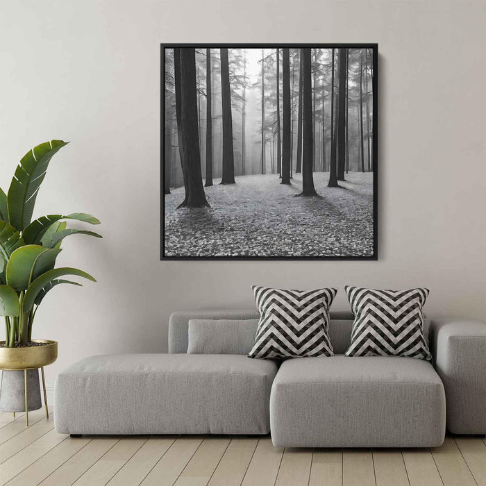 Forest Photography #034 - Kanvah