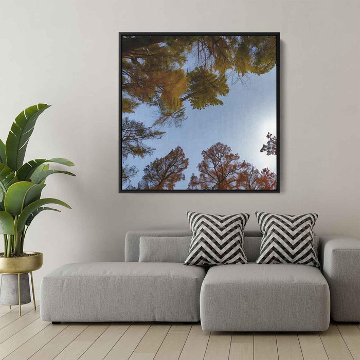 Forest Photography #038 - Kanvah