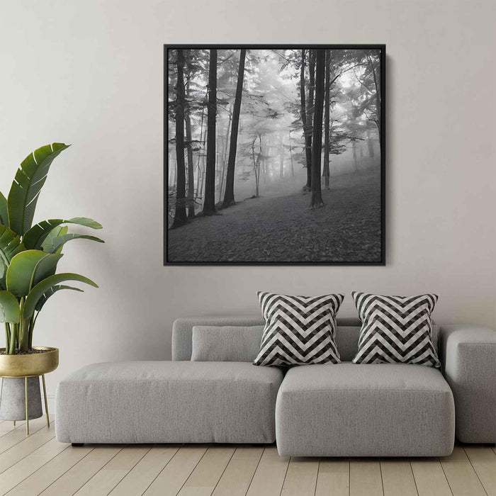 Forest Photography #040 - Kanvah