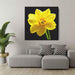 Daffodils Illustration #008 - Kanvah