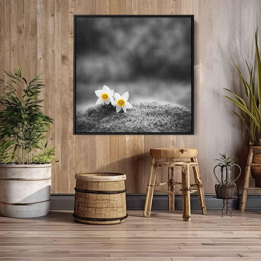 Black and White Daffodils #004 - Kanvah