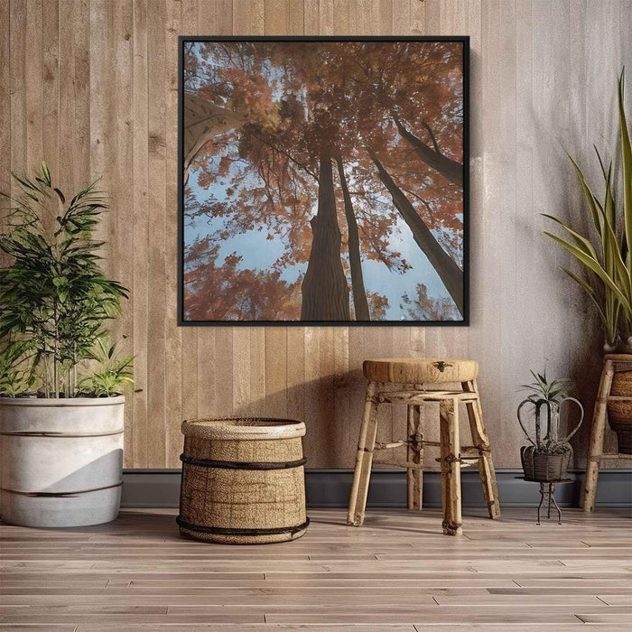 Forest Photography #008 - Kanvah