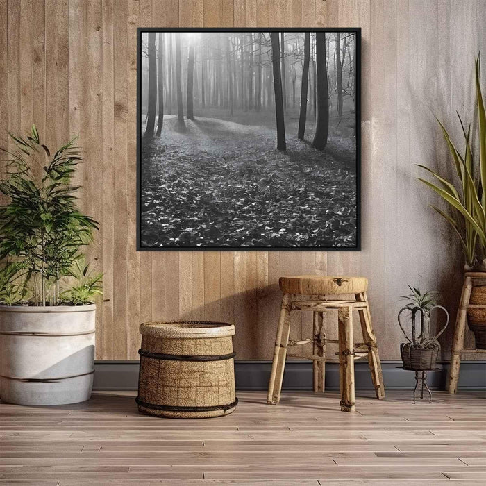 Forest Photography #018 - Kanvah