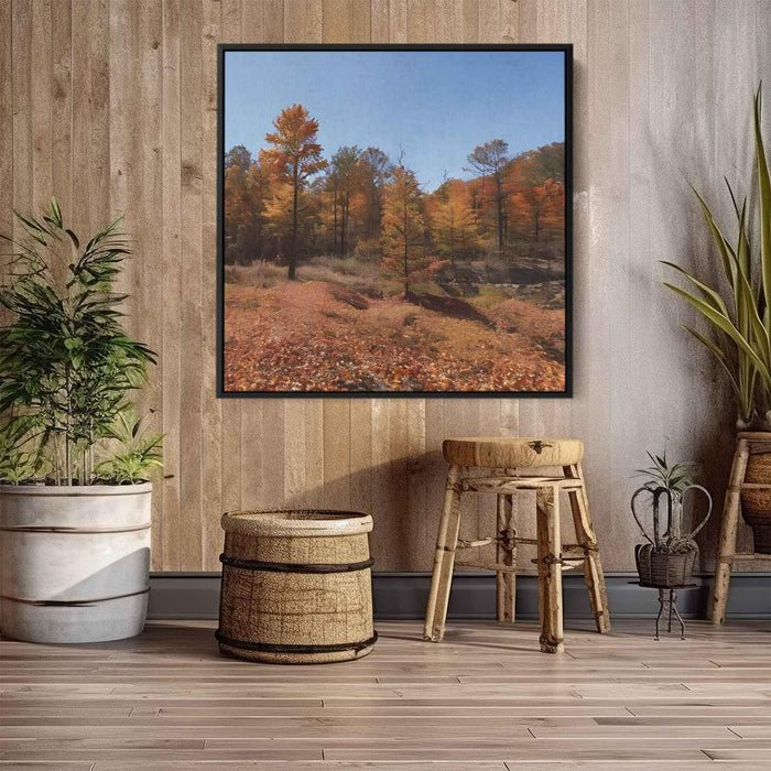 Forest Photography #020 - Kanvah