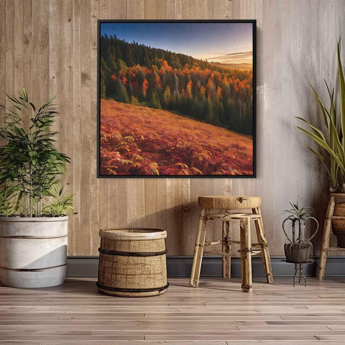 Forest Photography #022 - Kanvah