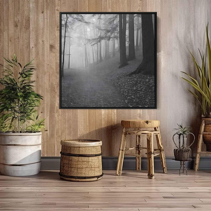 Forest Photography #026 - Kanvah