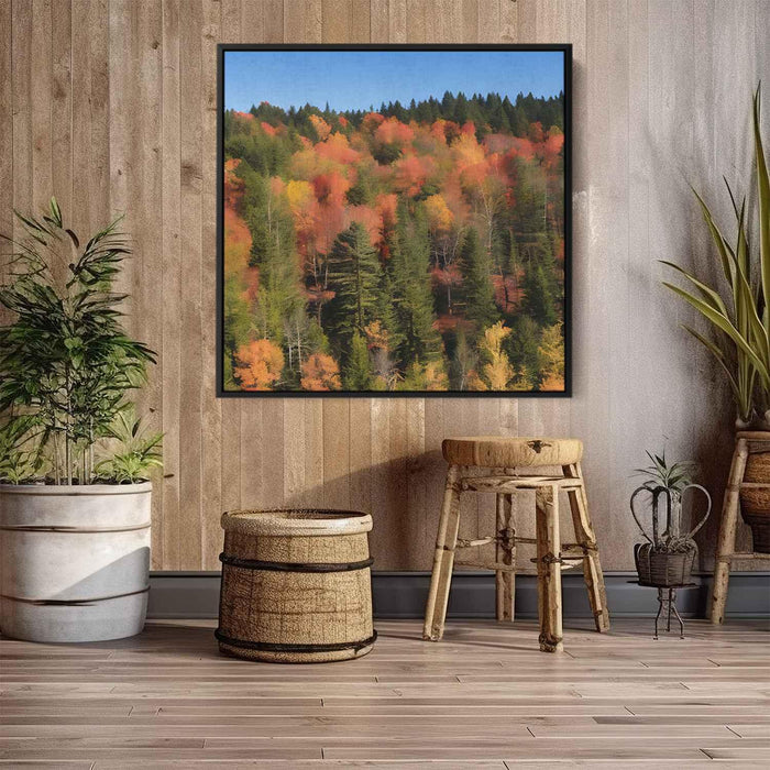 Forest Photography #028 - Kanvah