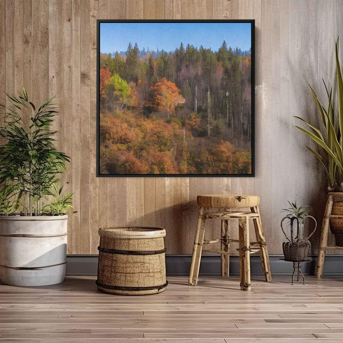 Forest Photography #030 - Kanvah