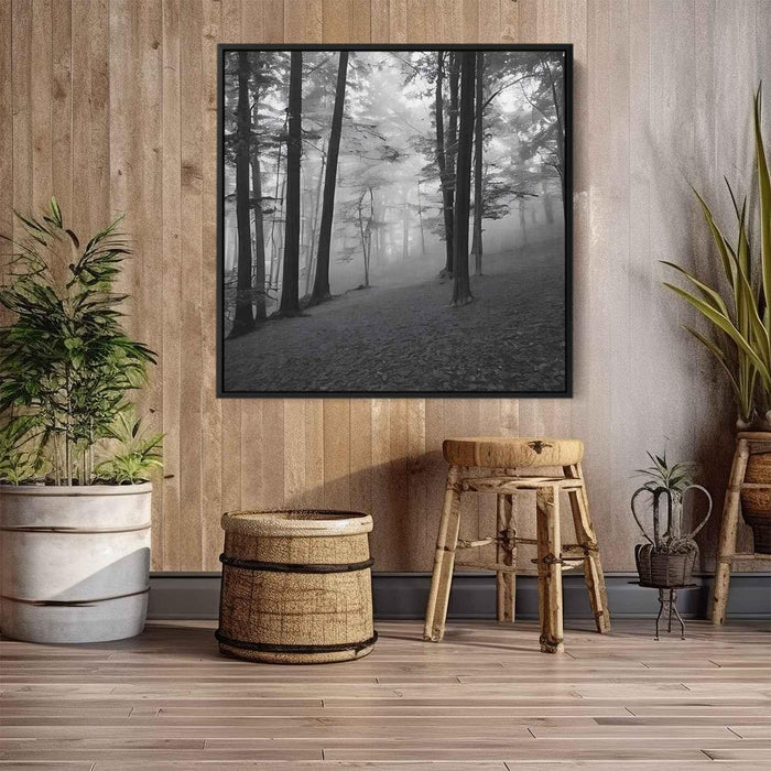 Forest Photography #040 - Kanvah