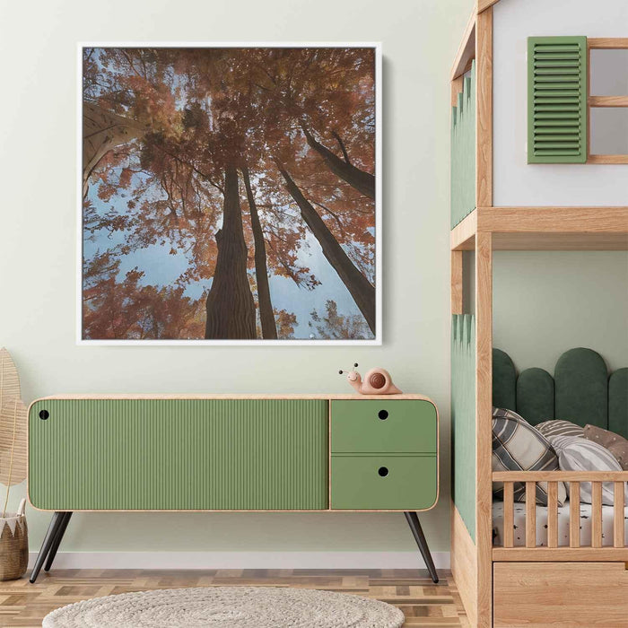 Forest Photography #008 - Kanvah