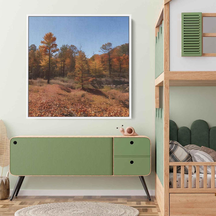 Forest Photography #020 - Kanvah