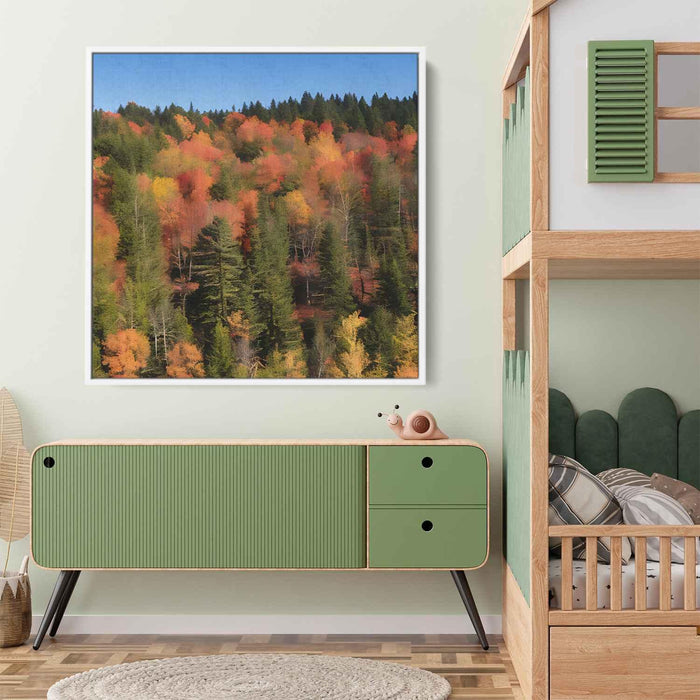 Forest Photography #028 - Kanvah