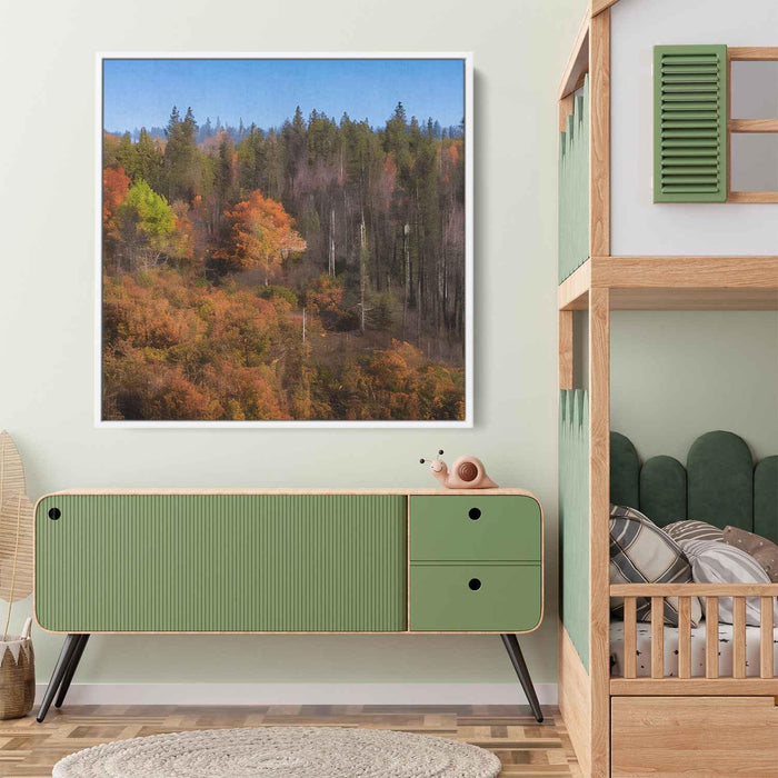 Forest Photography #030 - Kanvah