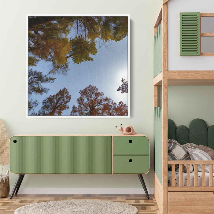 Forest Photography #038 - Kanvah