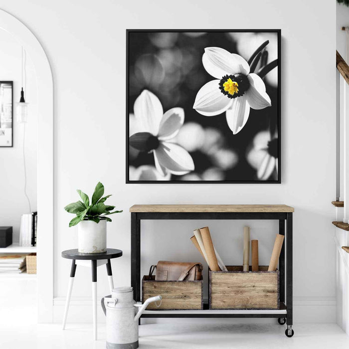 Black and White Daffodils #003 - Kanvah