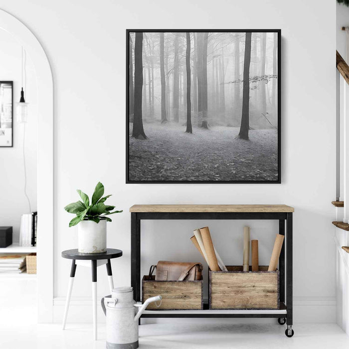 Forest Photography #007 - Kanvah