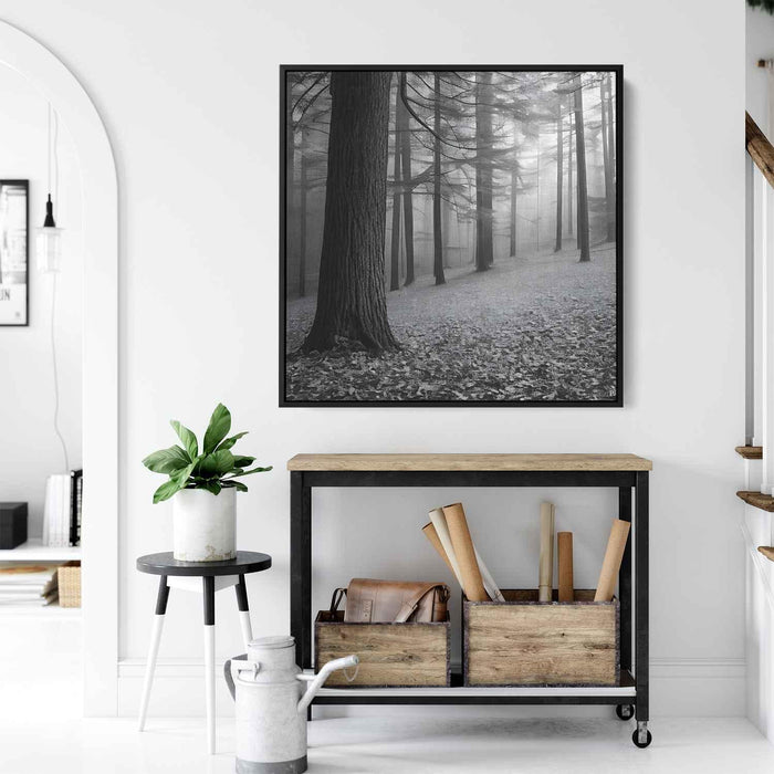 Forest Photography #017 - Kanvah