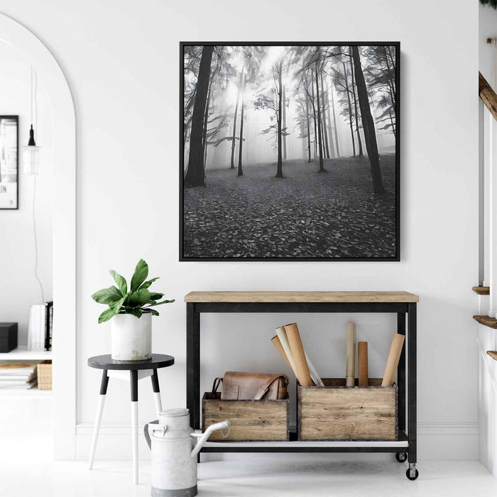 Forest Photography #021 - Kanvah