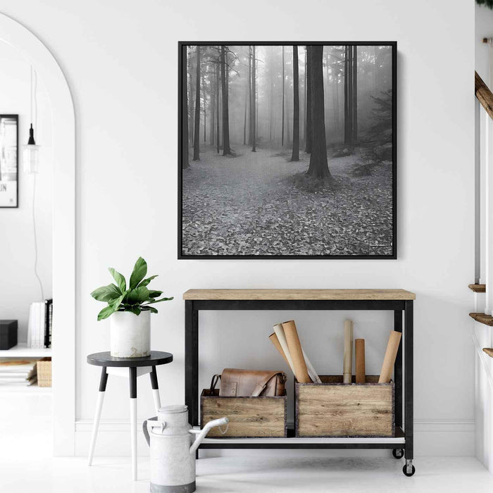 Forest Photography #027 - Kanvah