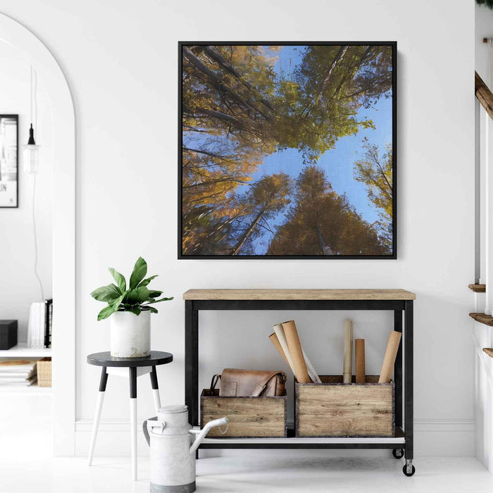 Forest Photography #029 - Kanvah