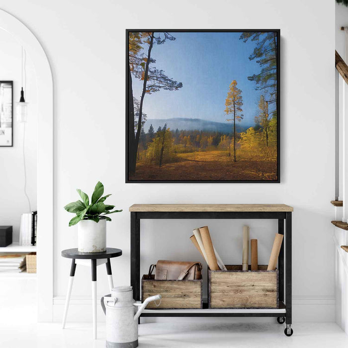 Forest Photography #031 - Kanvah