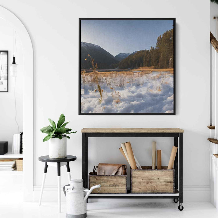 Forest Photography #035 - Kanvah