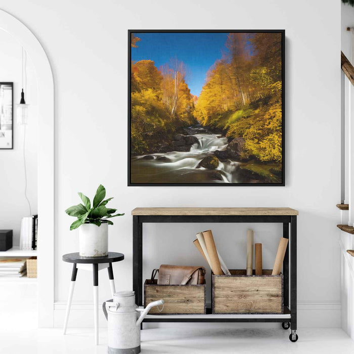 Forest Photography #037 - Kanvah