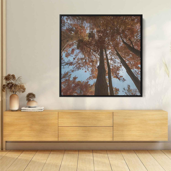 Forest Photography #008 - Kanvah