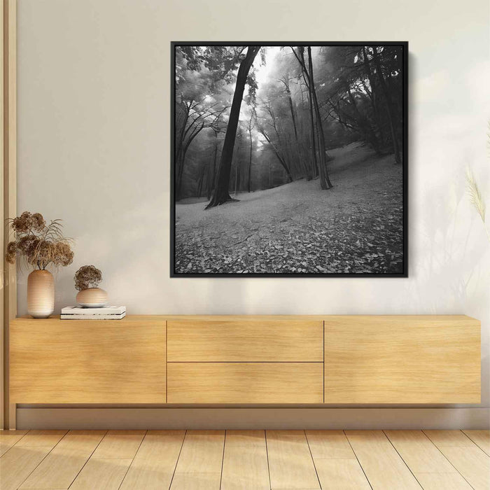 Forest Photography #012 - Kanvah