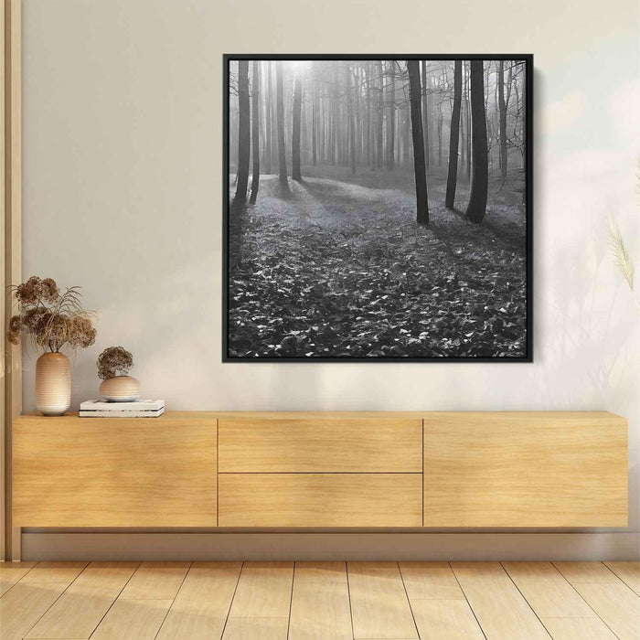 Forest Photography #018 - Kanvah