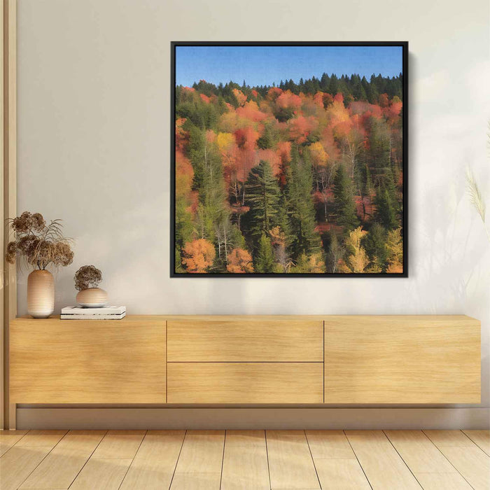 Forest Photography #028 - Kanvah