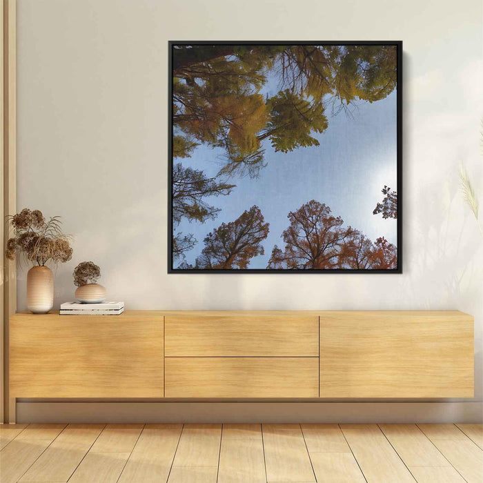 Forest Photography #038 - Kanvah