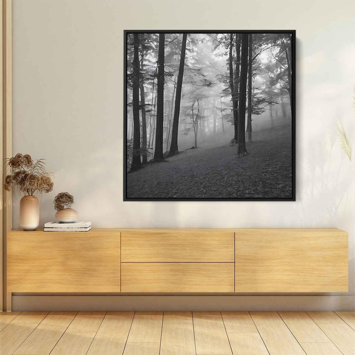 Forest Photography #040 - Kanvah